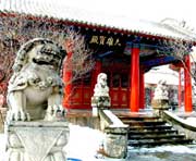 依兰天气预报40天