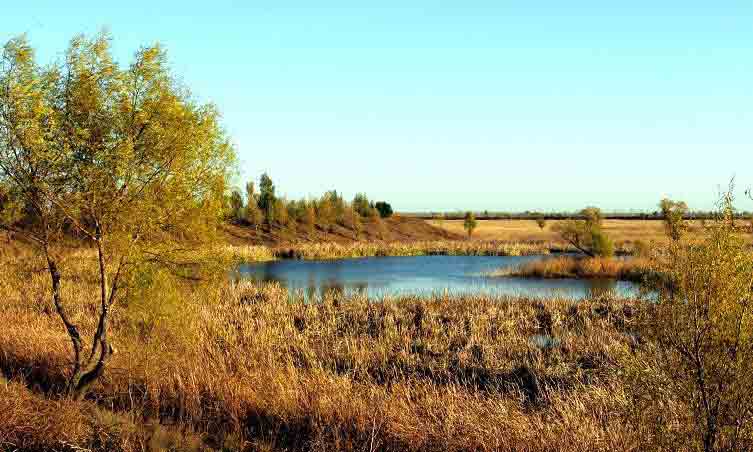 台安天气预报40天
