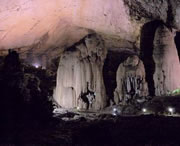 织金天气预报40天